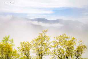 Along the Blue Ridge Parkway-9023.jpg